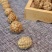 新货草豆蔻又称草蔻仁豆蔻子草蔻新鲜草寇大料中药材