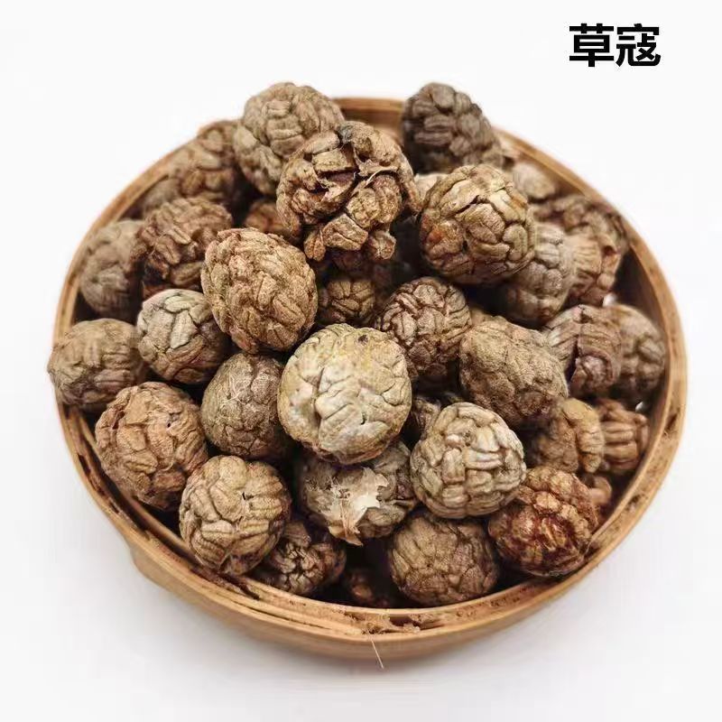 新货草豆蔻又称草蔻仁豆蔻子草蔻新鲜草寇大料中药材