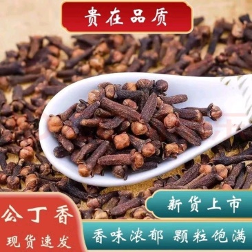 正品丁香香料公丁香大红丁香火锅底料卤肉料厨房煲汤卤水调味