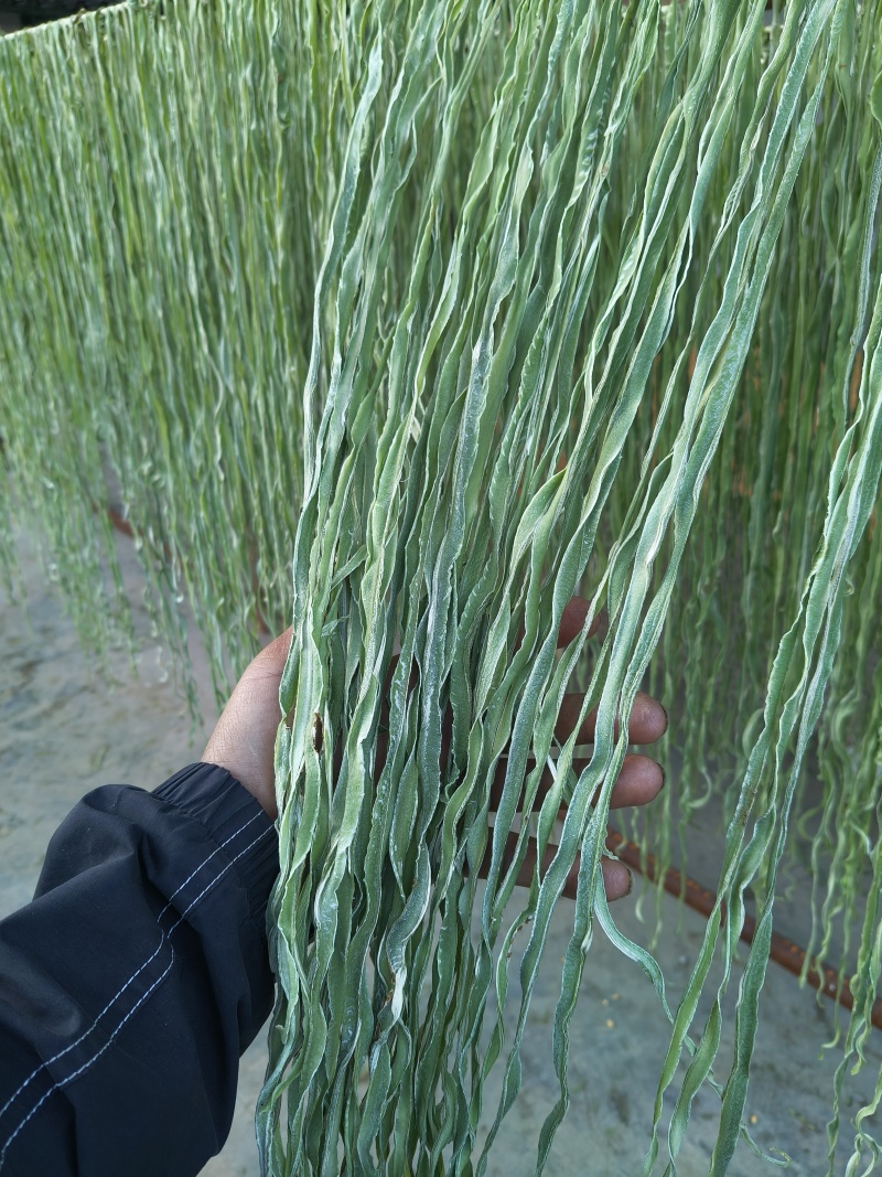 云南贡菜干响菜产地直供货源充足品质保证