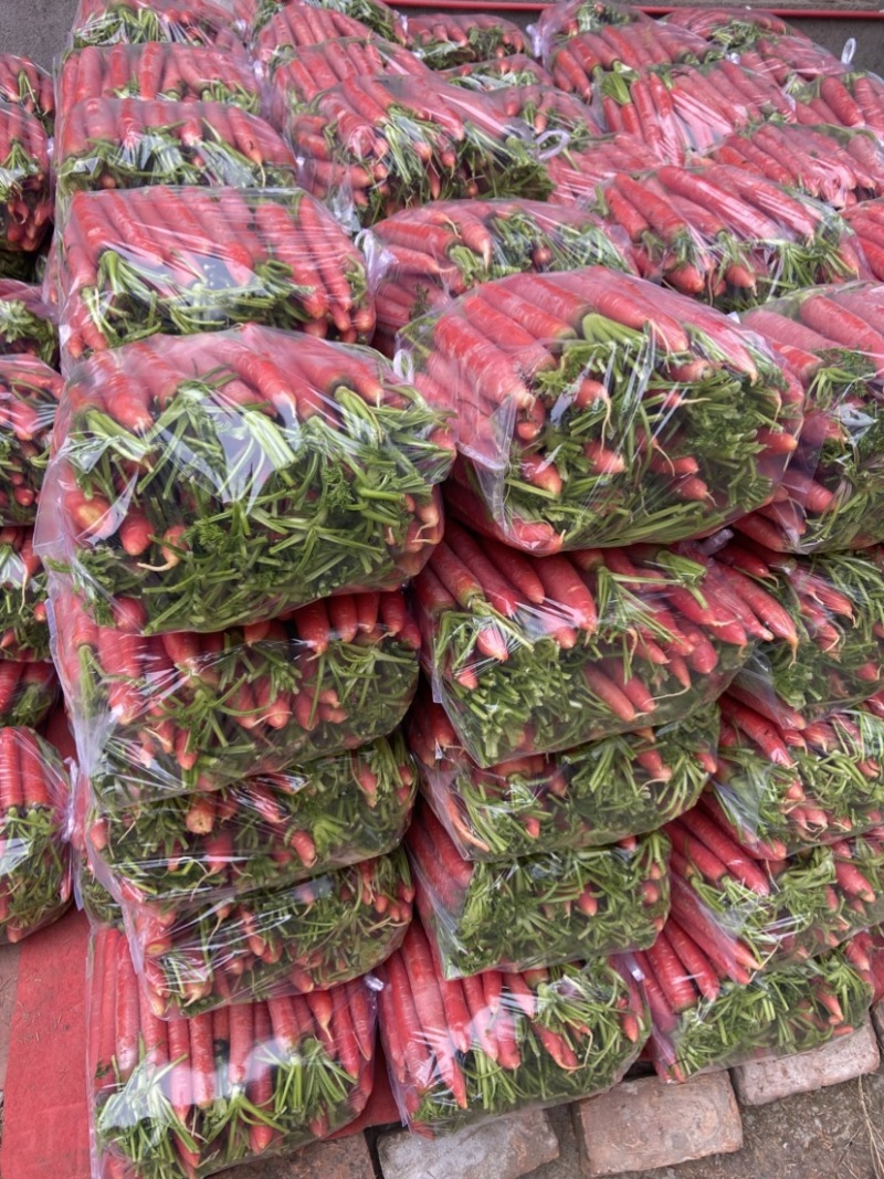湖北荆州特产本地水果胡萝卜🥕