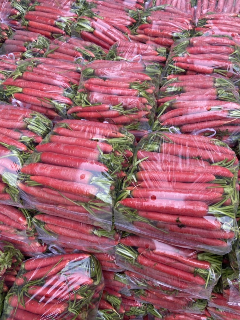 湖北荆州特产本地水果胡萝卜🥕