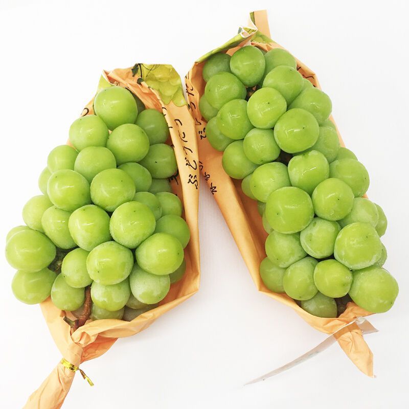 阳光玫瑰圆润饱满皮薄肉厚晶莹剔透质量保证诚信经
