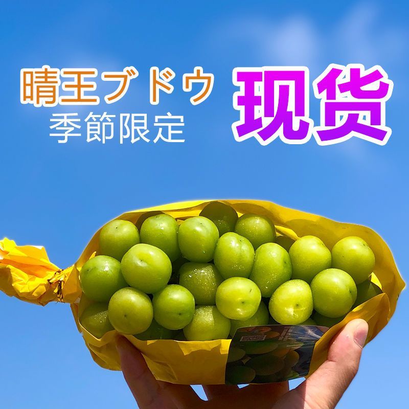 阳光玫瑰圆润饱满皮薄肉厚晶莹剔透质量保证诚信经