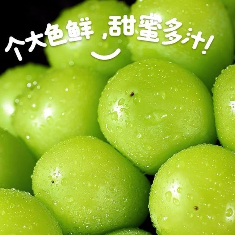 阳光玫瑰皮薄肉厚粒大无核圆润饱满香甜多汁质量保证