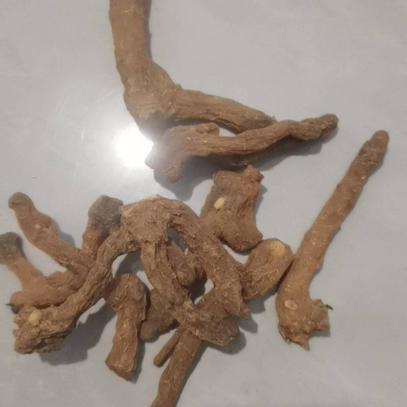 全宝山野生黄精，甜统个
