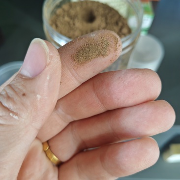 美洲大蠊干粉，精品干粉，市面难寻