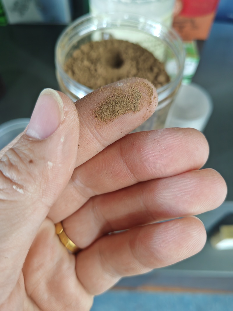 美洲大蠊干粉，精品干粉，市面难寻