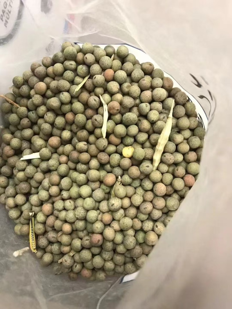 麻豌豆小麻豆冬豆2025年产新货