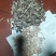 仁大皮毛亮高炒皮毛无霉大量现货供应，代发全国