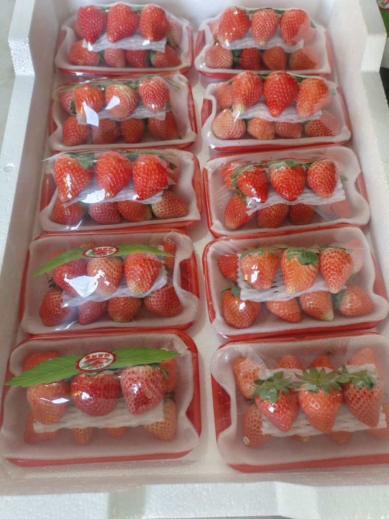 徐州宁玉草莓