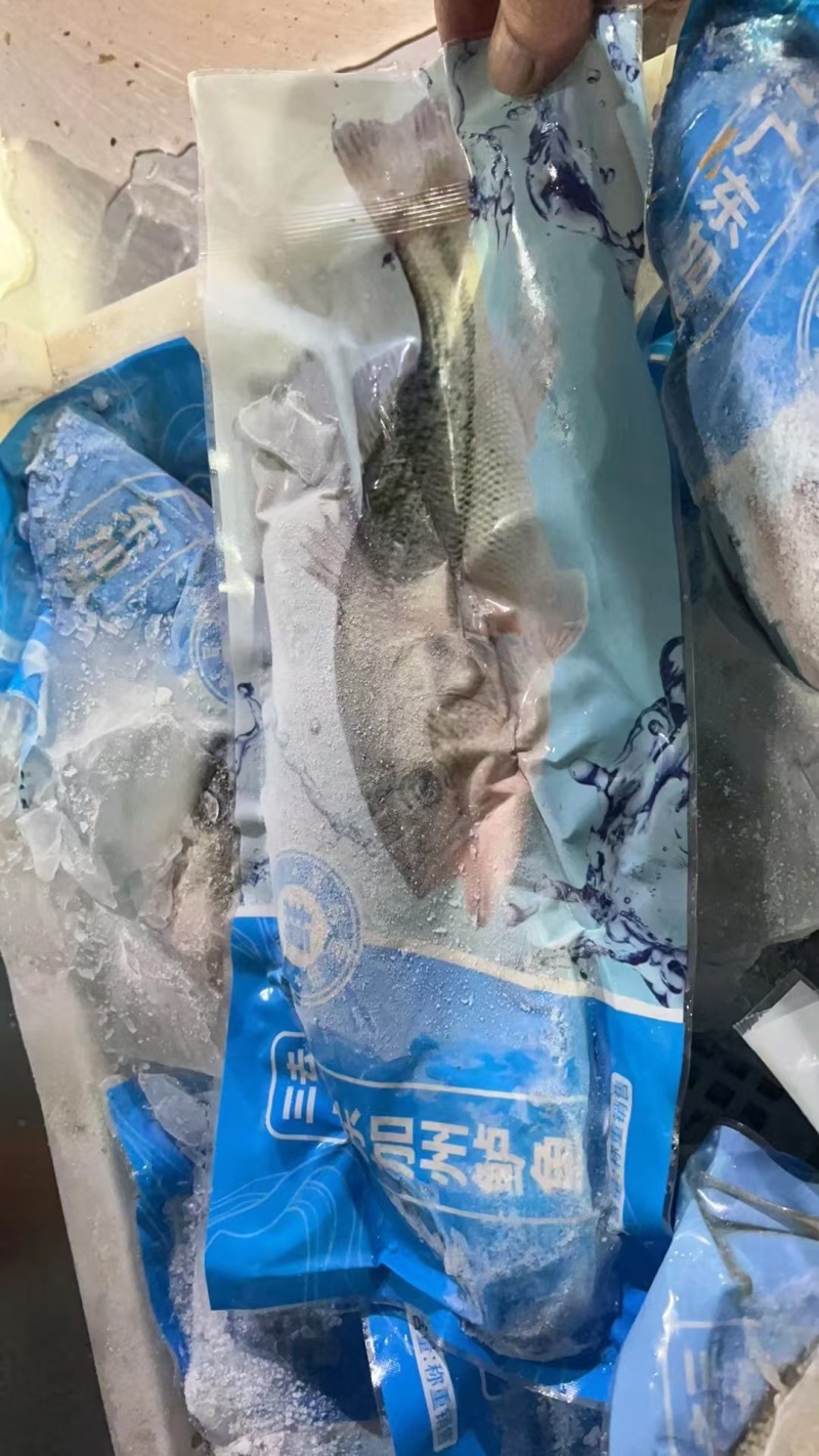 鲈鱼