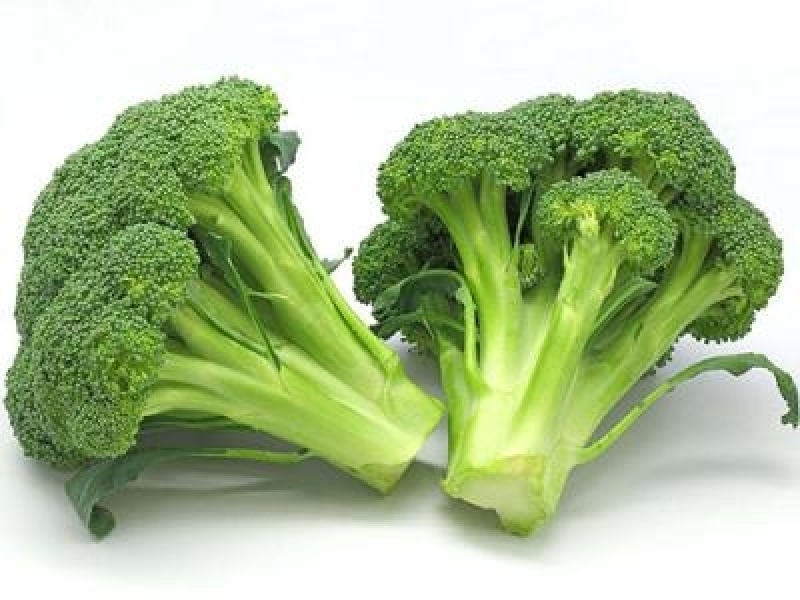 西兰花耐寒优秀西兰花产地看货论价保质保量支持发货