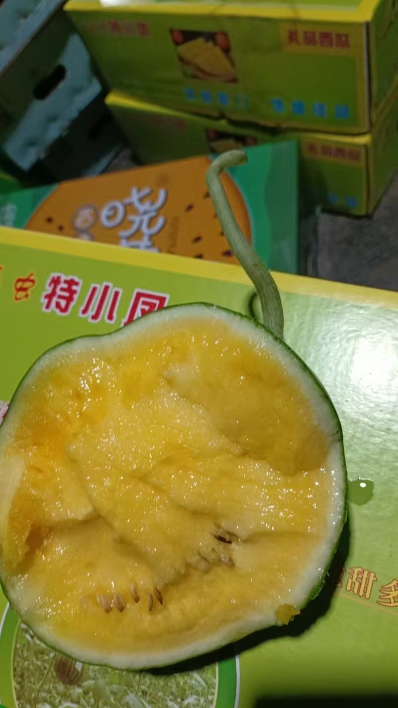 特小凤西瓜产地直发供应各大市场电商社区团购