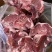 加肉羔羊胯骨