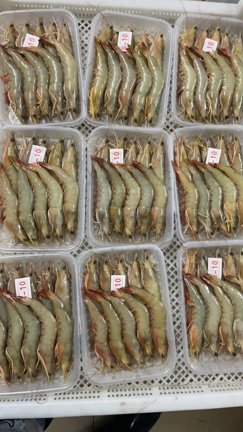 海虾
