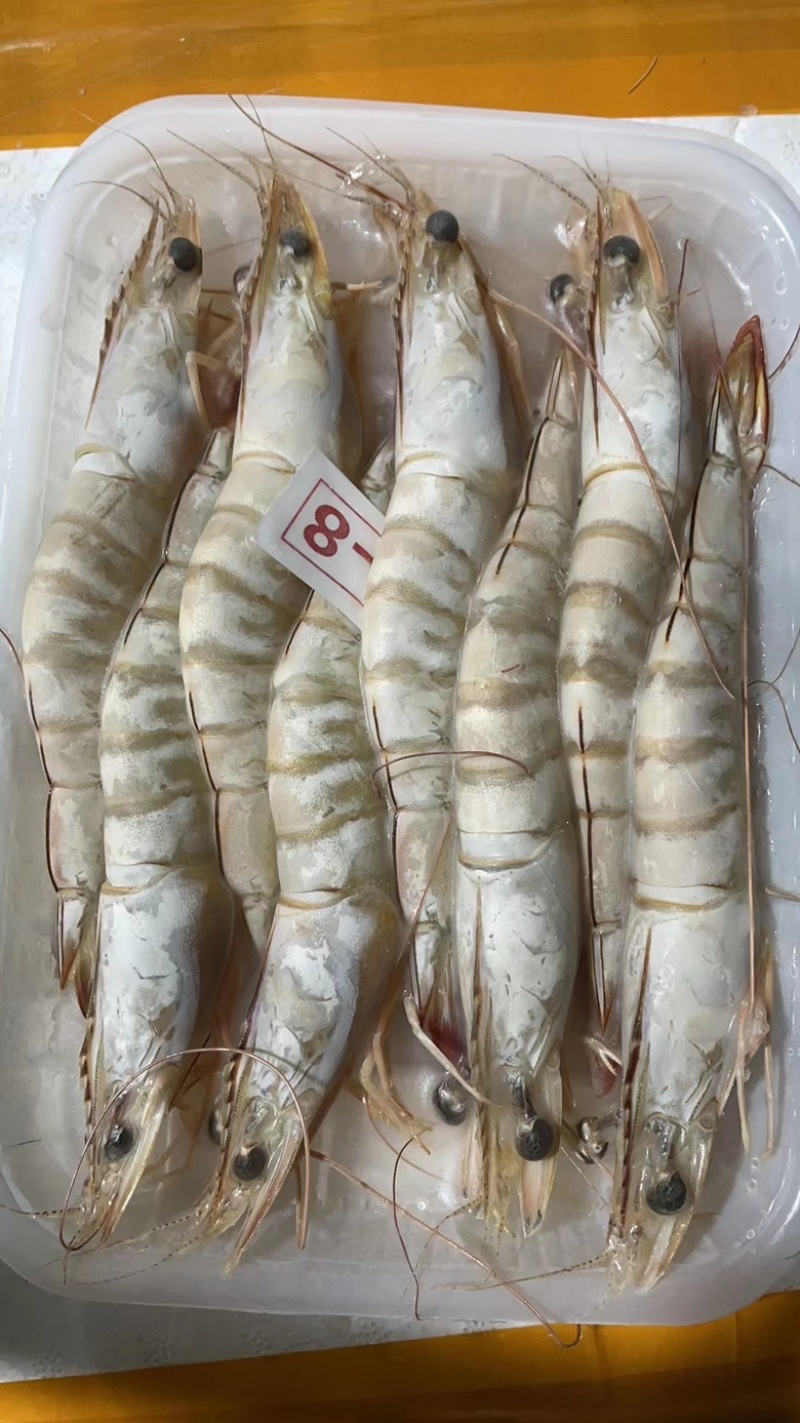 海虾