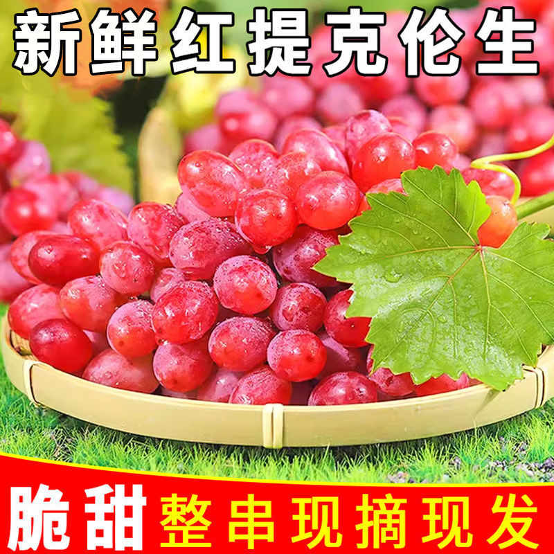 克伦生皮薄肉厚，营养丰富，粒大无核，香甜多汁，晶莹剔透