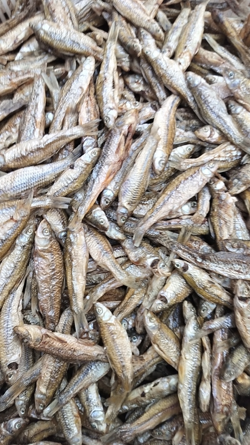 微山湖特产开肚烤麦穗鱼干产地直供品质保证欢迎来电