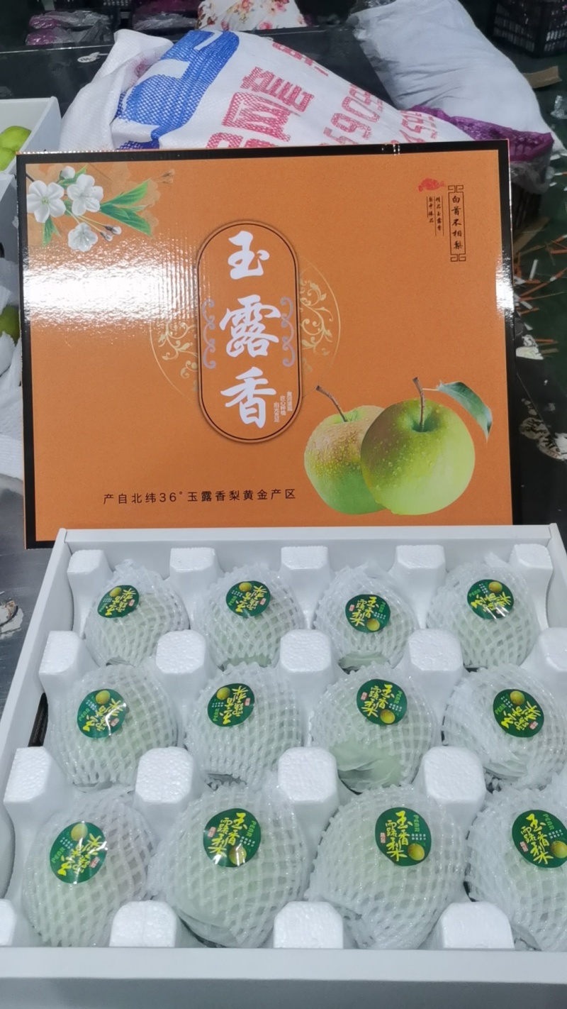 平陆玉露香梨