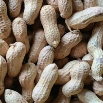 精选天府三花生果