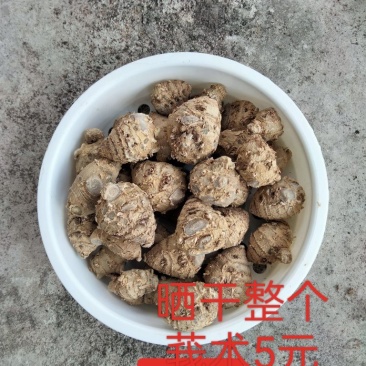 晒干莪术
