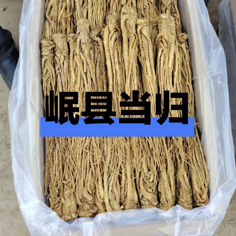 岷县原产地当归，可在线下单，可电话沟通看货，价格规格齐全
