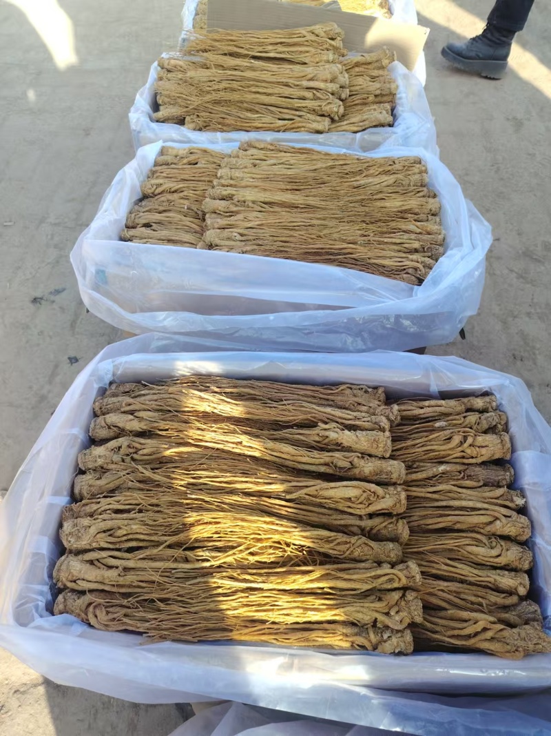 岷县原产地当归，可在线下单，可电话沟通看货，价格规格齐全