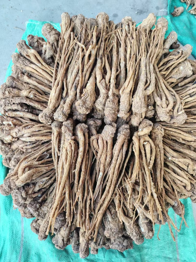 岷县原产地当归，可在线下单，可电话沟通看货，价格规格齐全