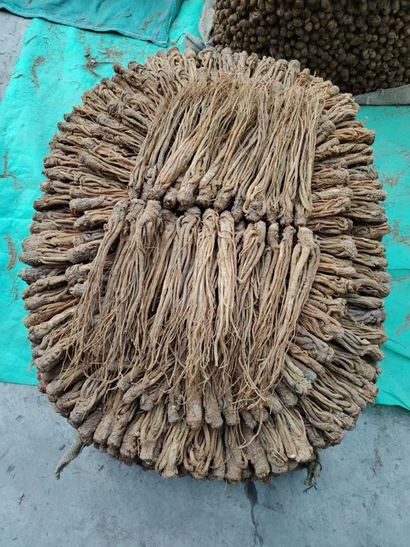 岷县原产地当归，可在线下单，可电话沟通看货，价格规格齐全