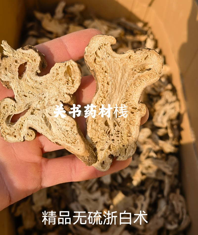 白术浙白术选手捏片无硫浙白术关书药业实拍图