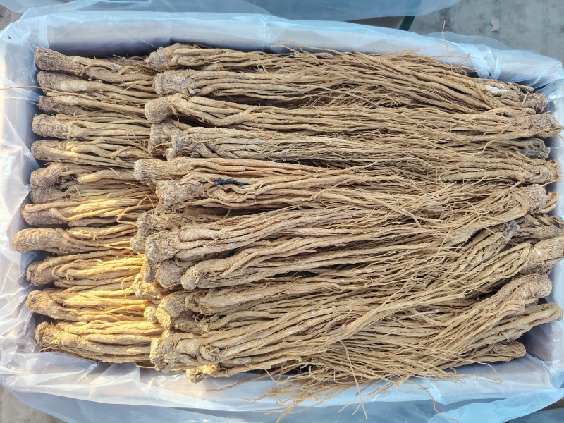 岷县原产地当归，可在线下单，可电话沟通看货，价格规格齐全