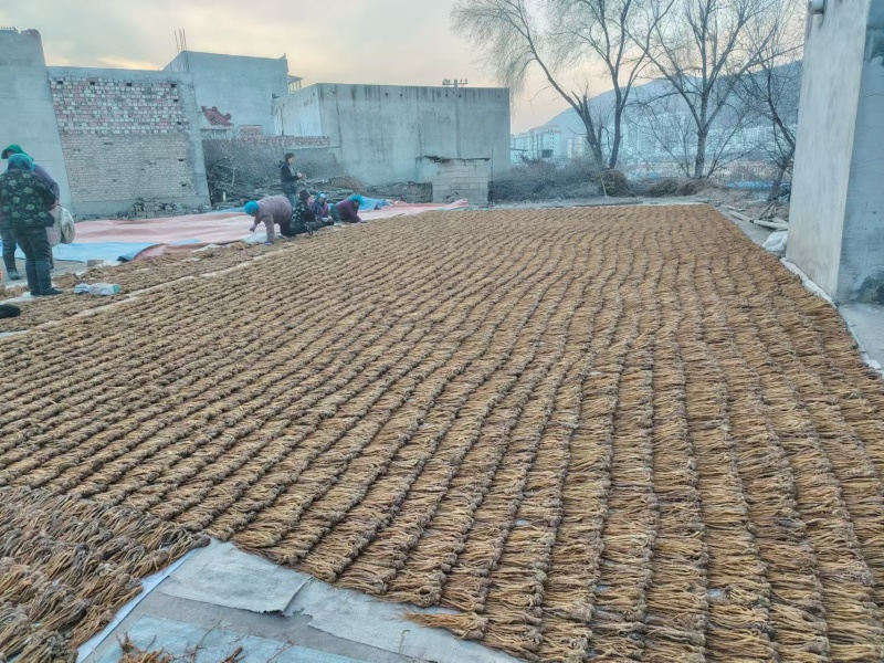 岷县原产地当归，可在线下单，可电话沟通看货，价格规格齐全