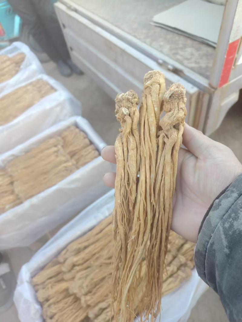 岷县水洗黄优质当归，可在线下单，可电话联系视频，线下看货