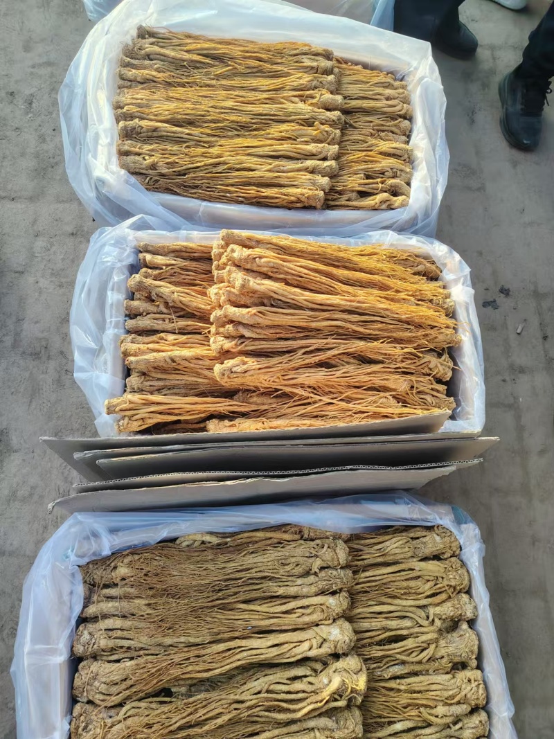 岷县水洗黄优质当归，可在线下单，可电话联系视频，线下看货