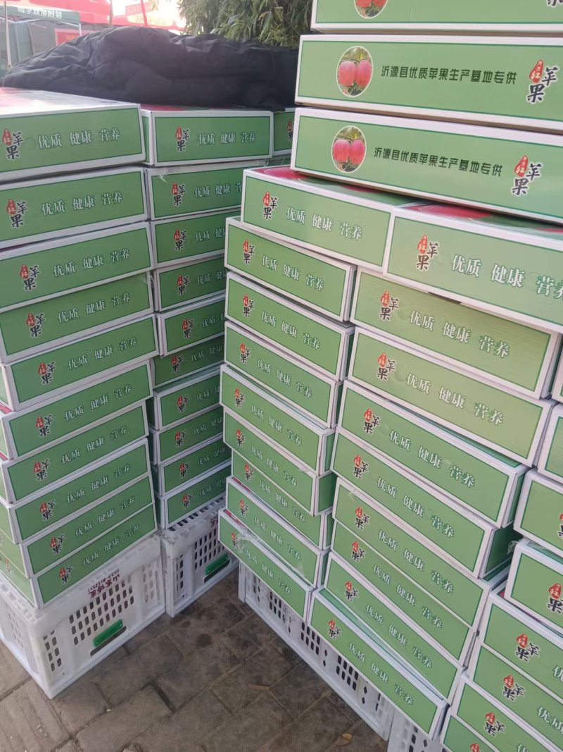 维纳斯苹果脆甜多汁精选大果果园直发量大从优