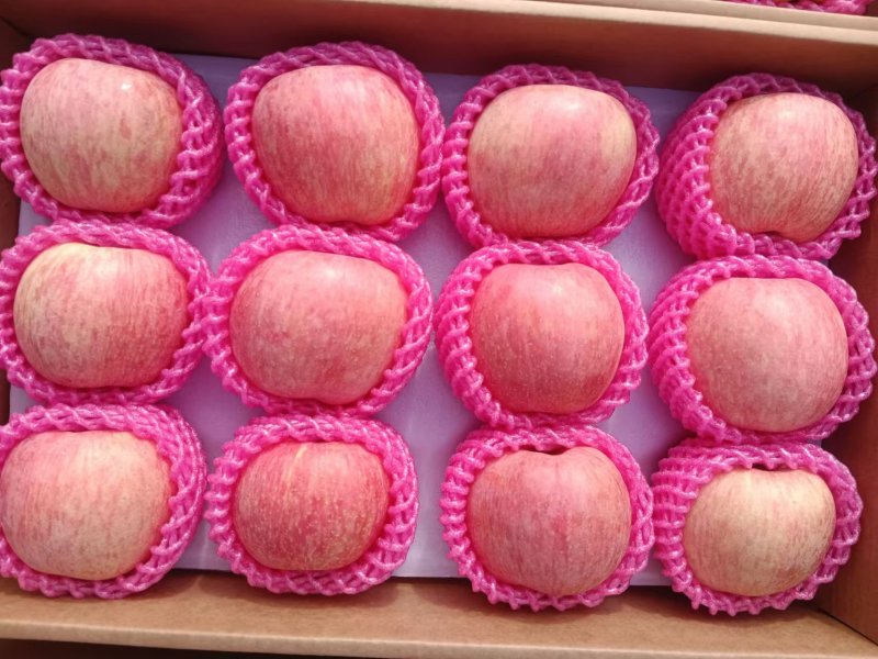 红富士苹果脆甜多汁果园直发精选大果量大从优