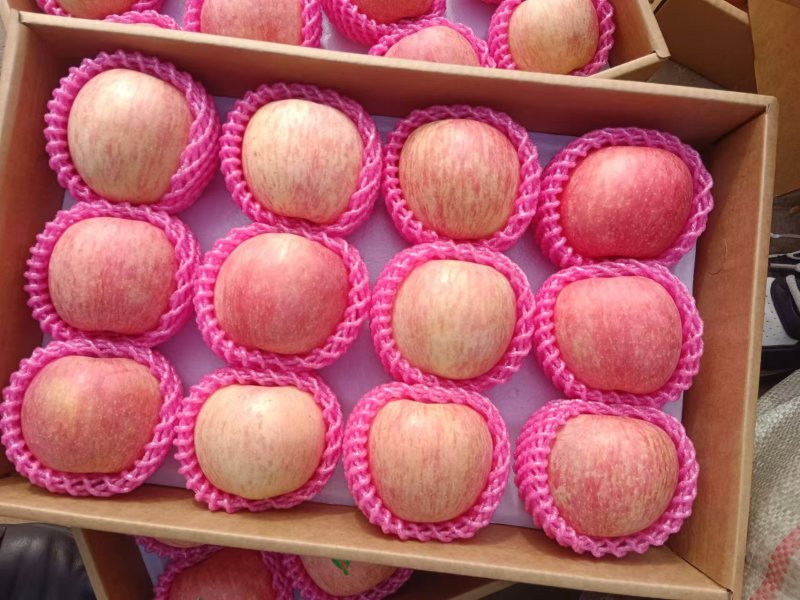 红富士苹果脆甜多汁果园直发精选大果量大从优