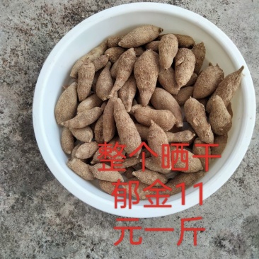 晒干郁金