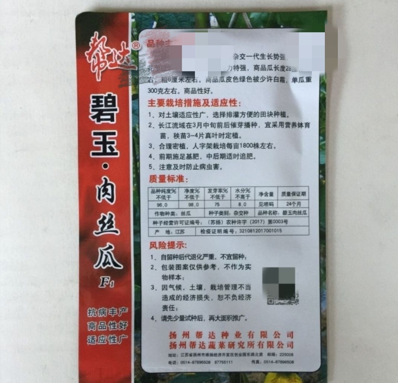 丝瓜种子碧玉肉丝瓜种子