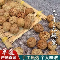 新货草豆蔻又称草蔻仁豆蔻子草蔻新鲜草寇大料中药材