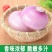紫红皮洋葱10斤新鲜洋葱现挖洋葱5斤圆葱头批发农家自种蔬