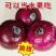 紫红皮洋葱10斤新鲜洋葱现挖洋葱5斤圆葱头批发农家自种蔬