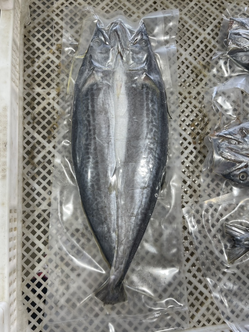 鲅鱼干老板鱼干兔子鱼干鳝鱼干厂家一手货