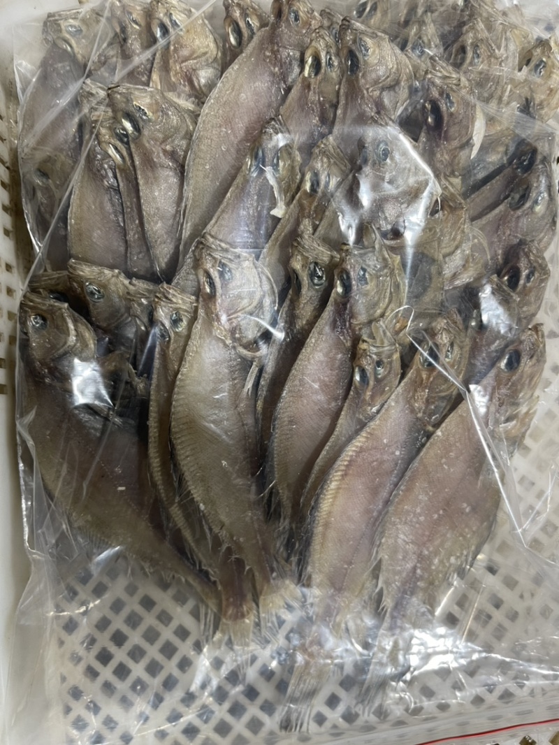 鲅鱼干老板鱼干兔子鱼干鳝鱼干厂家一手货