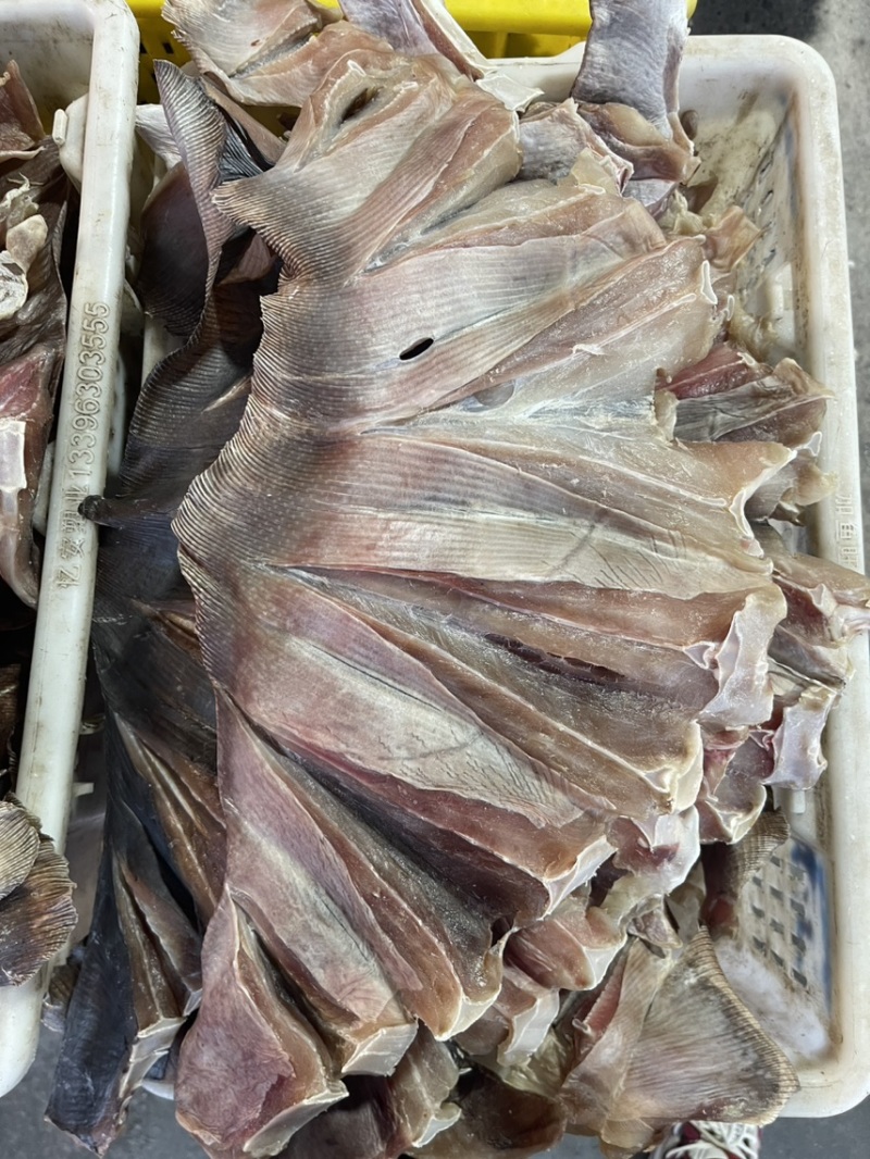 鲅鱼干老板鱼干兔子鱼干鳝鱼干厂家一手货