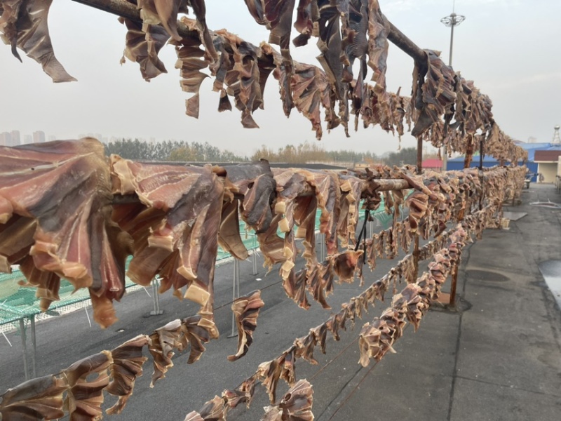 鲅鱼干老板鱼干兔子鱼干鳝鱼干厂家一手货