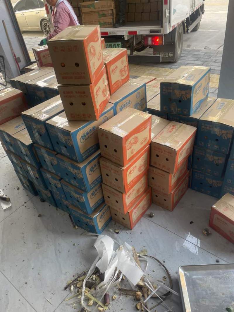 现货广西砂糖橘，百亩基地，电商代发、实力代办，欢迎老板