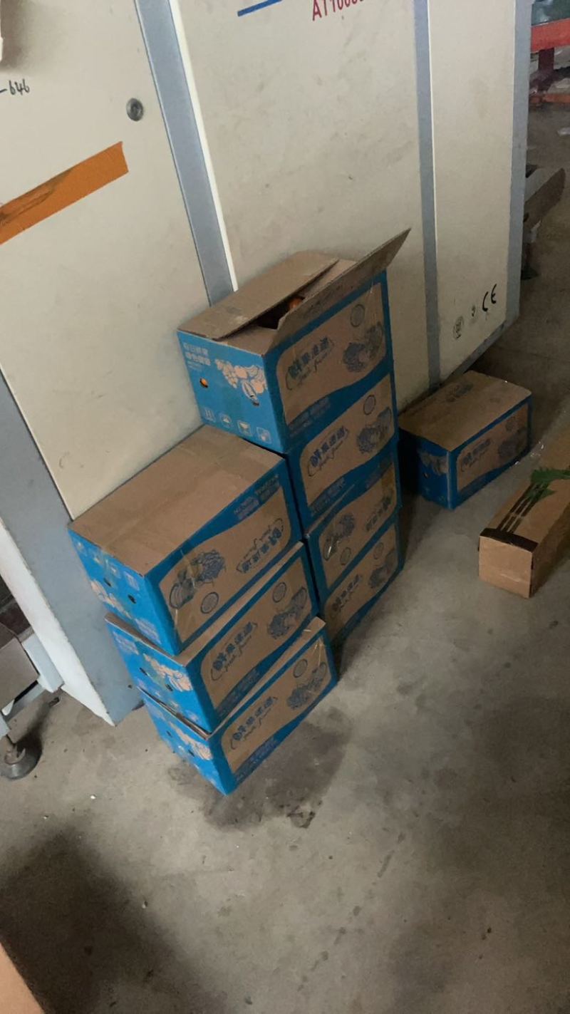 现货广西砂糖橘，百亩基地，电商代发、实力代办，欢迎老板