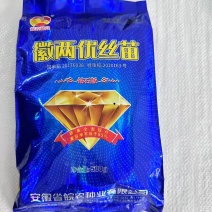 【批发】杂交水稻种子徽两优丝苗钻石版优质高产抗倒伏国审稻